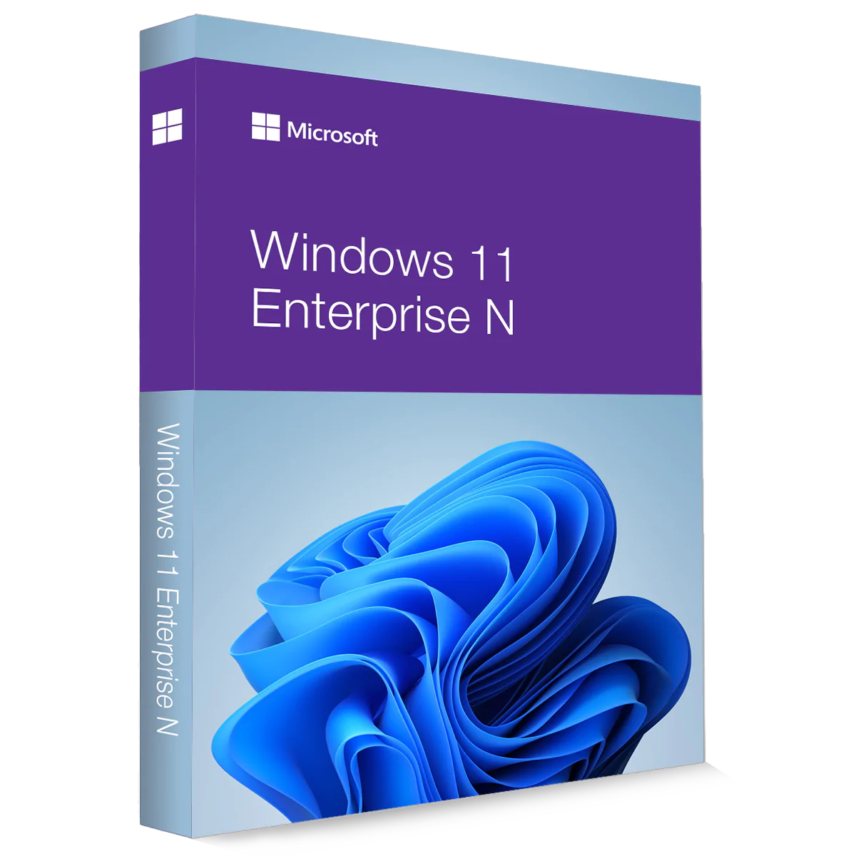 Microsoft Windows 11 Enterprise N